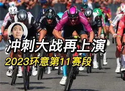 爱游戏-意大利取胜土耳其，开启欧预赛征程(意大利vs土耳其2020欧洲杯何时开赛)