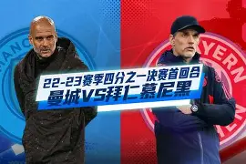 爱游戏官网-黄金战力：拜仁慕尼黑再胜切尔西的简单介绍