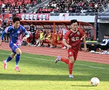 爱游戏-弗赖堡利用主场优势，坐拥不败战绩领先优势的简单介绍