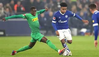 爱游戏-沙尔克主场失利,球队需调整后果吗