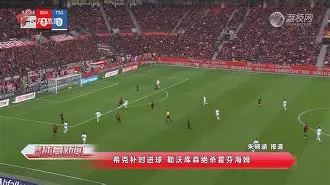 爱游戏体育-霍芬海姆最近战绩