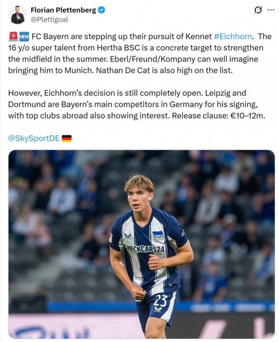 爱游戏-柏林赫塔球员